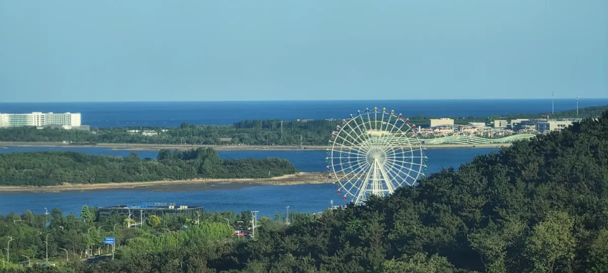 琴岛之眼封面